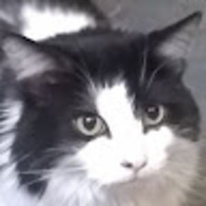 Meet your Posher, Jack